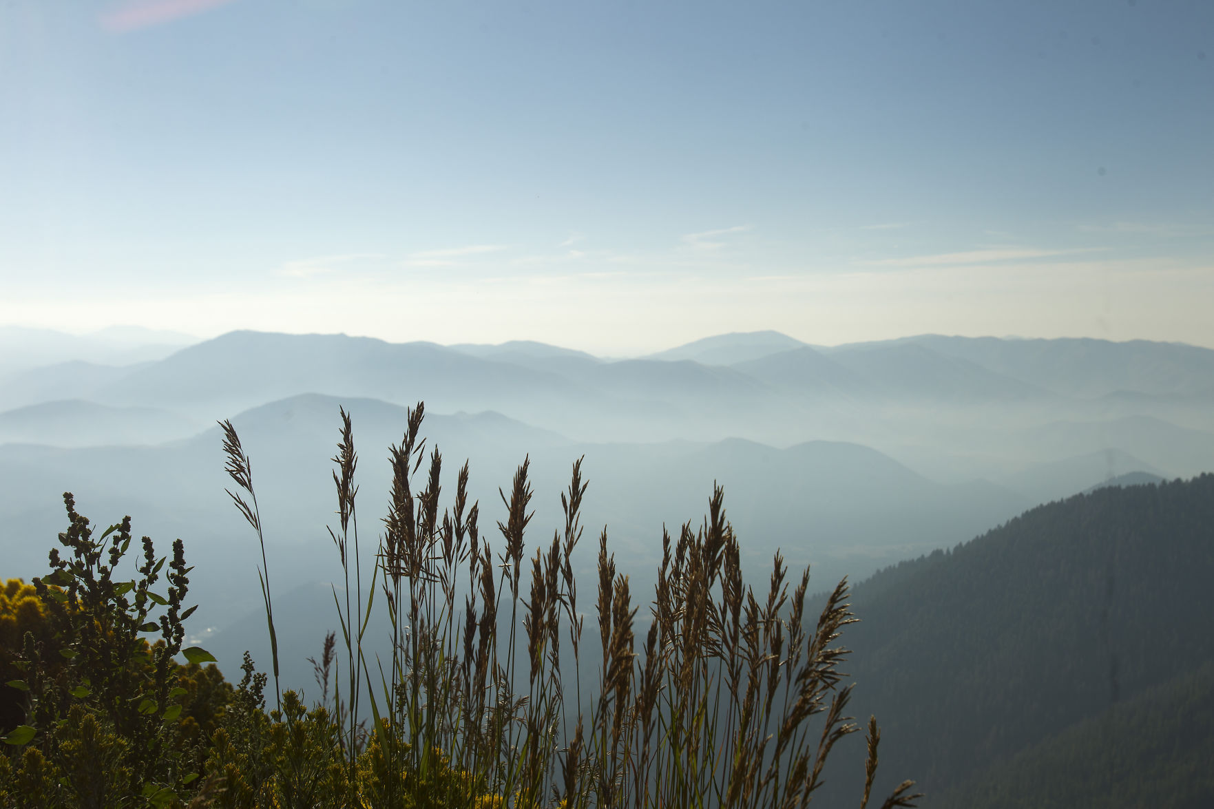 Solar eclipse draws spectators to Baldy
